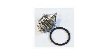 Термостат WV 48B-82-G1, с прокладкой (P102)