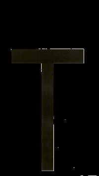 Наклейка-дубль номерного знака БУКВА Т  (18*33 см) наружная