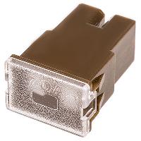 Предохранитель силовой Тип F (М)  70А  W228-F S09301039 SKYWAY  (уп 5 шт) 