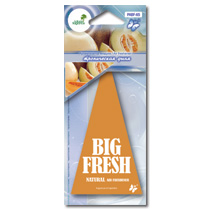 Ароматизатор подвесной пластина BiG FRESH Тропическая дыня PABF- 65  