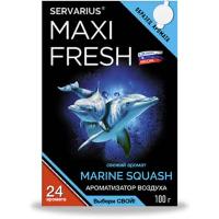 Ароматизатор под сиденье гелевый MARINE SQUASH, 100 гр (уп.40 шт) MAXIFRESH MF-118