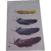 Наклейка декоративная Перо цветное (набор 4 шт), к-т   3D-N4