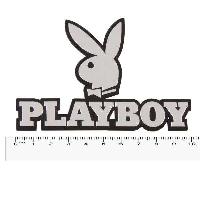 Шильдик металлопластик PLAYBOY,  95*65мм, хром SKYWAY (SEBL-032)