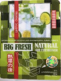 Ароматизатор под сиденье гелевый Цитрус сквош, 200гр BIG FRESH BF- 60  (1/40)