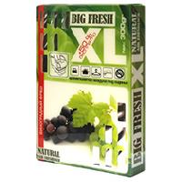 Ароматизатор под сиденье гелевый Виноградный фреш XL, 300гр BIG FRESH BXL-146  (1/30)