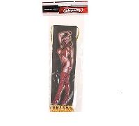 Вымпел прямоугольный (200*55) TOYOTA, с девушкой в сапогах, фон коричневый S05101103			