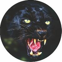 Чехол запасного колеса экокожа-полиэстер R16,17 D77см ЧЕРНАЯ ПАНТЕРА SKYWAY S06301061  