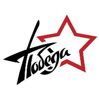 Наклейка 9 МАЯ вырезанная (225*300) «ПОБЕДА, звезда», надпись цвет белый SW S08102006 (уп 1 шт)