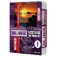 Ароматизатор под сиденье гелевый Тропическая ночь, 200гр BIG FRESH  BF-112  (1/40)