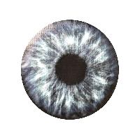 Чехол запасного колеса экокожа-полиэстер R16,17 D77см ГЛАЗ SKYWAY S06301075