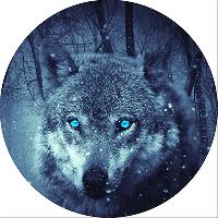 Чехол запасного колеса экокожа-полиэстер R15 D67см ВОЛК S06301028  SKYWAY  (1/10)