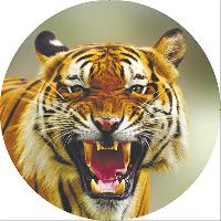 Чехол запасного колеса экокожа-полиэстер R15 D67см ТИГР с оскалом S06301034  SKYWAY  (1/10)