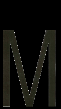 Наклейка-дубль номерного знака БУКВА М  (18*33 см) наружная