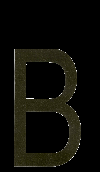 Наклейка-дубль номерного знака БУКВА В  (18*33 см) наружная