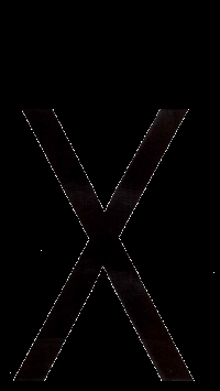 Наклейка-дубль номерного знака БУКВА Х  (18*33 см) наружная