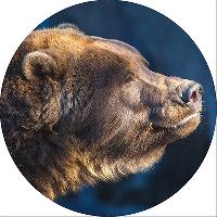 Чехол запасного колеса экокожа-полиэстер R15 D67см МЕДВЕДЬ S06301036  SKYWAY  (1/10)