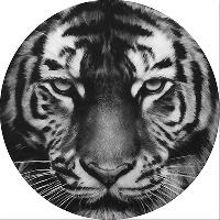 Чехол запасного колеса экокожа-полиэстер R16,17 D77см ТИГР черно-белый S06301032  SKYWAY  (1/10)