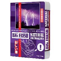 Ароматизатор под сиденье гелевый Озоновая свежесть, 200гр BIG FRESH  BF- 52  (1/40)