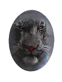 Наклейка  3D голограмма Тигр серый/голубые глаза, 140*190 мм