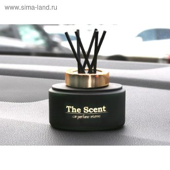 Ароматизатор жидкий флакон/палочки THE SCENT Океанский бриз, 60мл  SCENT- 163  (1/40)