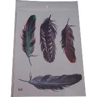 Наклейка декоративная Перо цветное (набор 4 шт), к-т   3D-N3