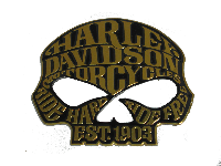 Шильдик металлопластик HARLEY DAVIDSON череп золото