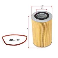 O-564  SAKURA  (O-1514)