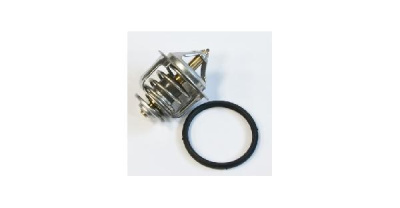 Термостат WV 48B-82-G1, с прокладкой (P102)