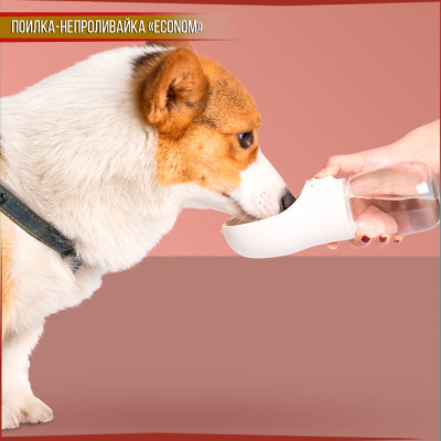Поилка-непроливайка для животных, 300мл, ГОЛУБАЯ