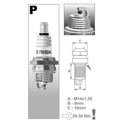 Свеча зажигания BRISK  PR17Y (инд.уп.)  2T GARDEN 3021
