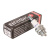 Свеча зажигания BRISK  PR17Y (инд.уп.)  2T GARDEN 3021