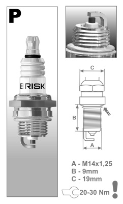 Свеча зажигания BRISK  PR15Y (инд.уп.) 2T GARDEN 3022